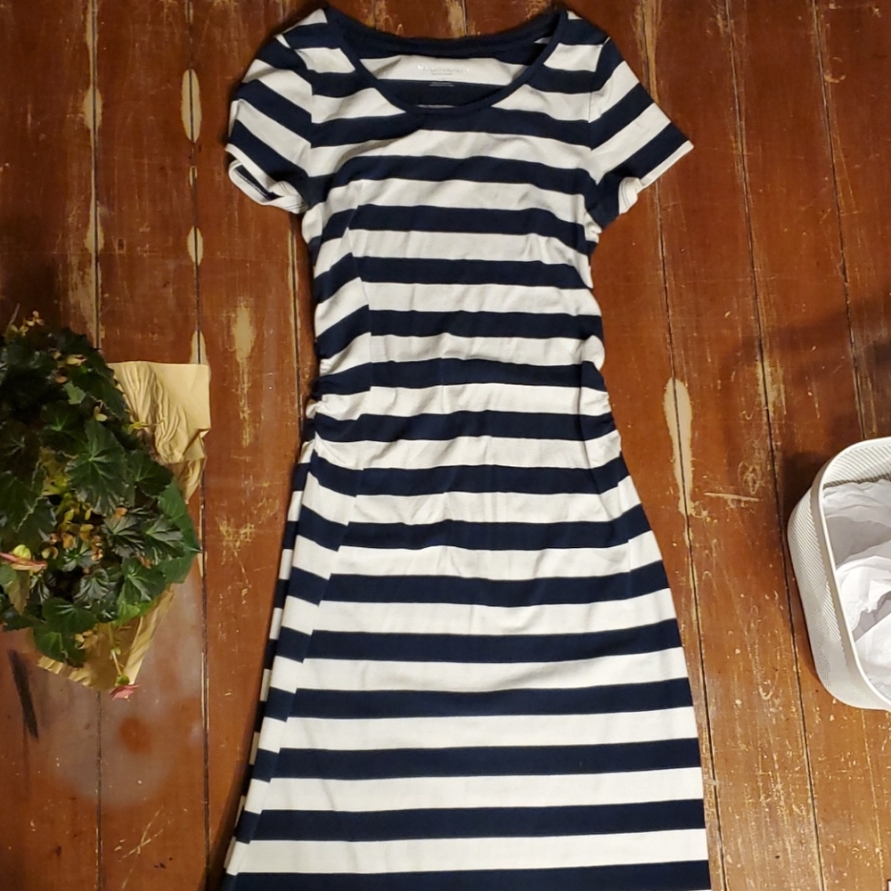 Ruched Midi Navy&White Liz Lange Maternity